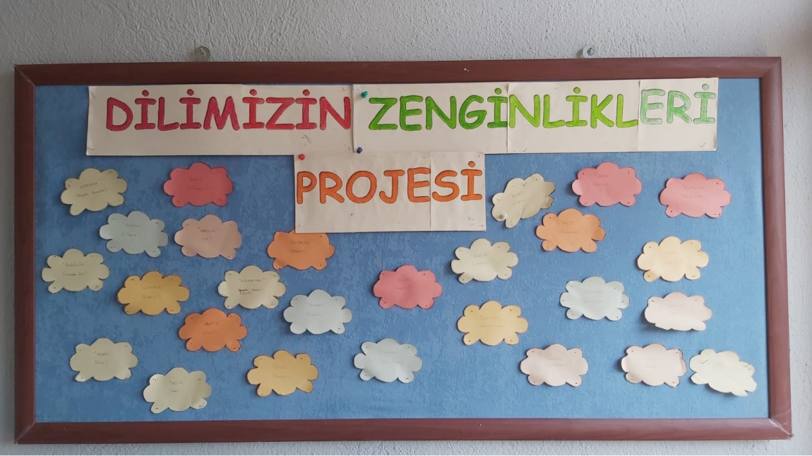 Dilimizin Zenginlikleri Projesi